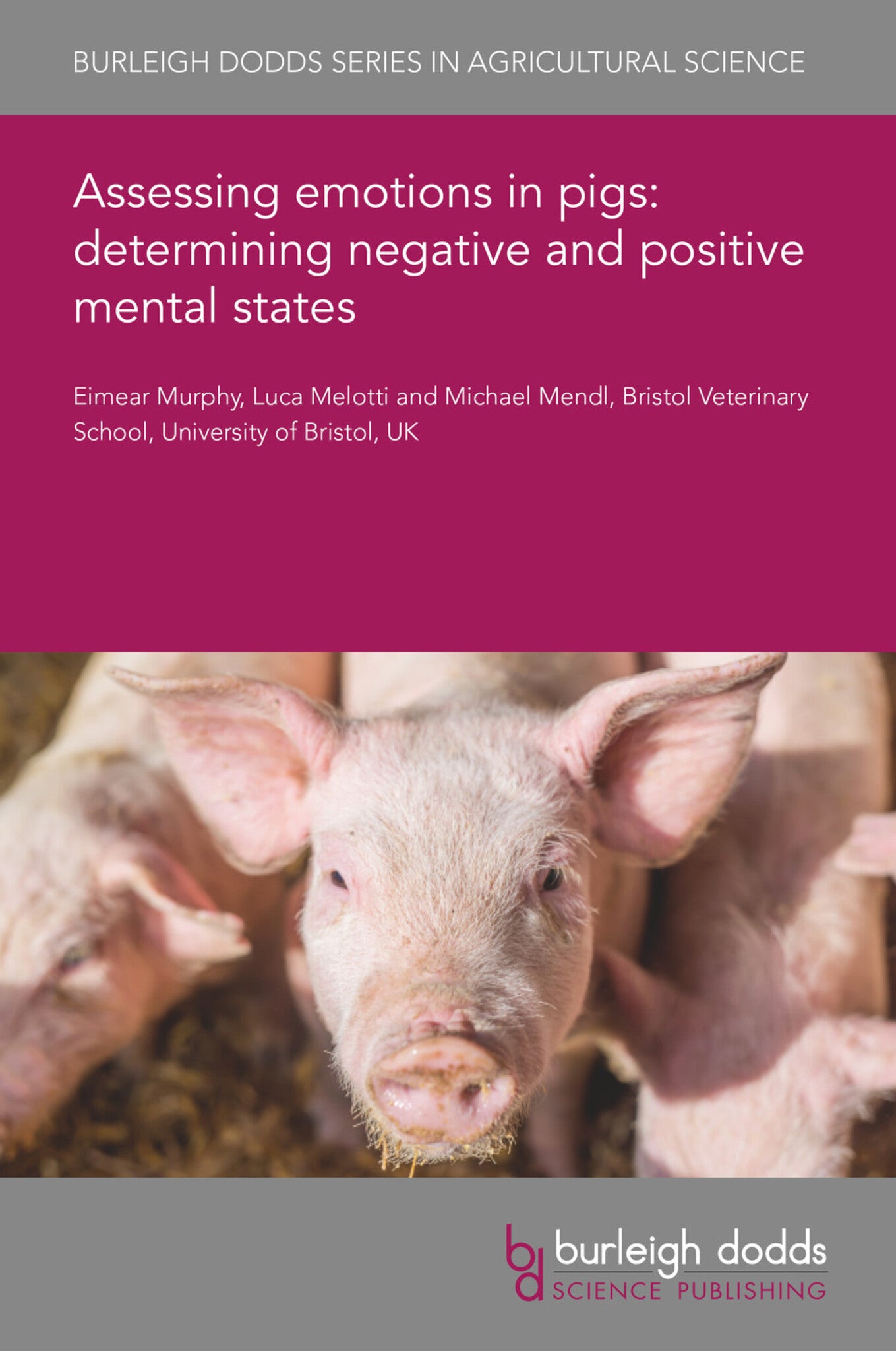 Cover image for Assessing emotions in pigs: determining negative and positive mental states ISBN 9781801460347